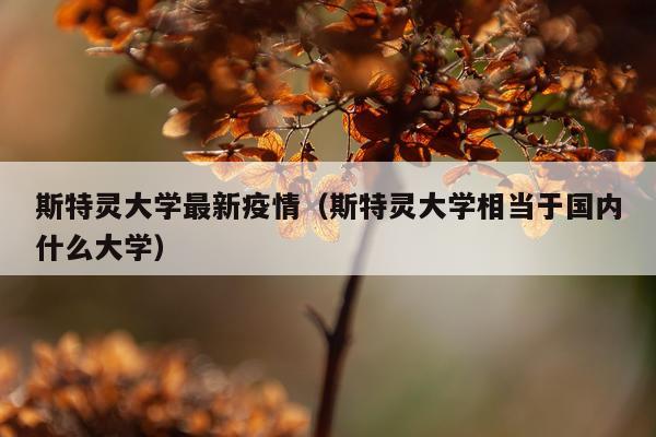 斯特灵大学最新疫情（斯特灵大学相当于国内什么大学）