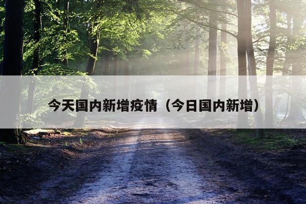 今天国内新增疫情（今日国内新增）