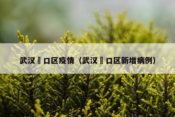 武汉硚口区疫情（武汉硚口区新增病例）