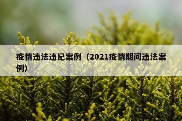 疫情违法违纪案例（2021疫情期间违法案例）