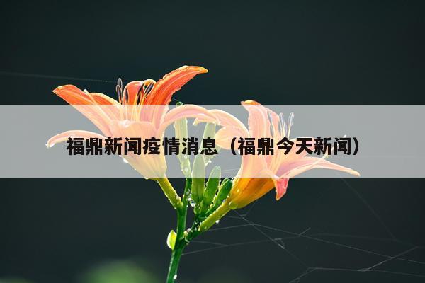 福鼎新闻疫情消息（福鼎今天新闻）