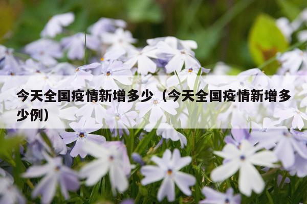 今天全国疫情新增多少（今天全国疫情新增多少例）