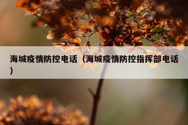 海城疫情防控电话（海城疫情防控指挥部电话）