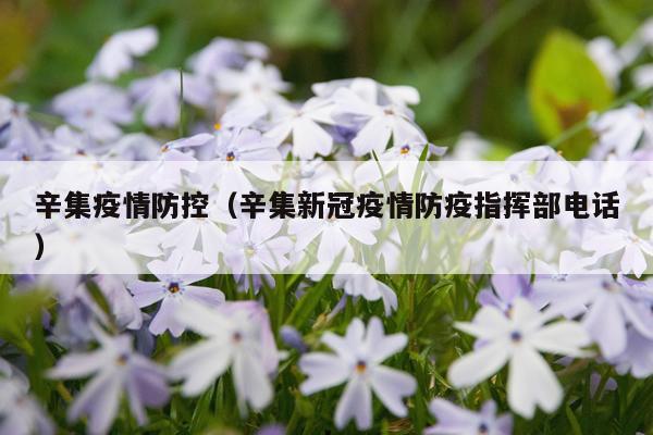 辛集疫情防控（辛集新冠疫情防疫指挥部电话）