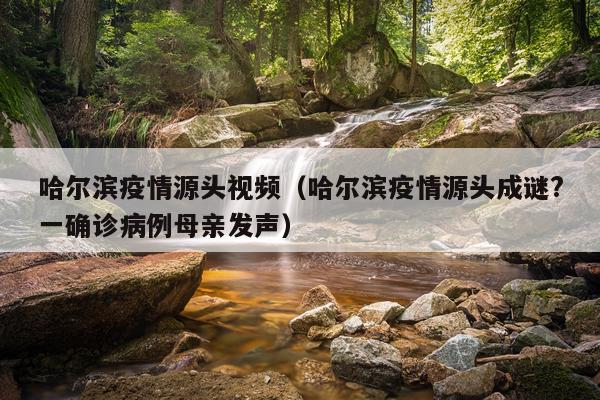 哈尔滨疫情源头视频（哈尔滨疫情源头成谜?一确诊病例母亲发声）