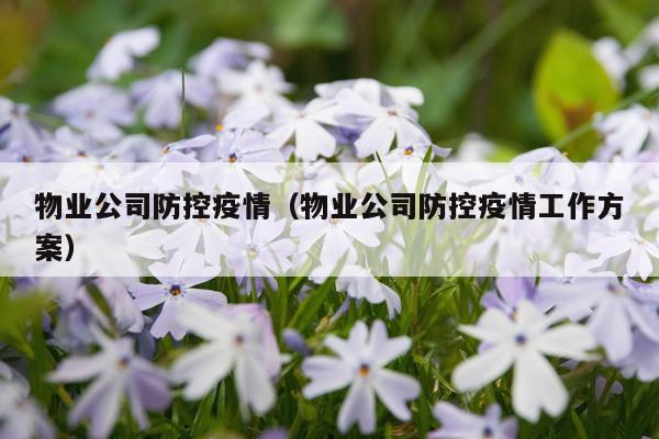 物业公司防控疫情（物业公司防控疫情工作方案）