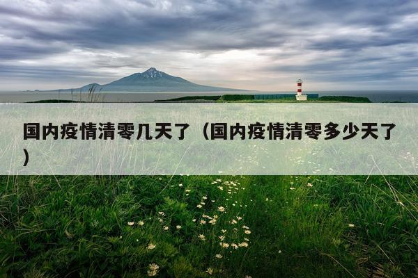 国内疫情清零几天了（国内疫情清零多少天了）