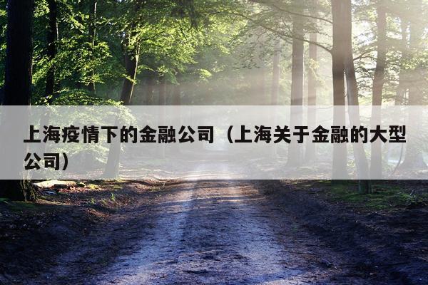 上海疫情下的金融公司（上海关于金融的大型公司）