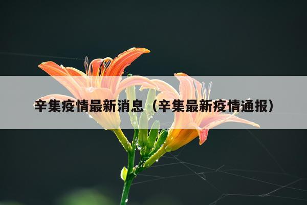 辛集疫情最新消息（辛集最新疫情通报）