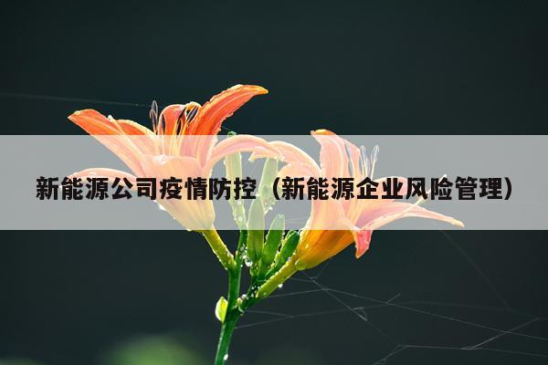 新能源公司疫情防控（新能源企业风险管理）