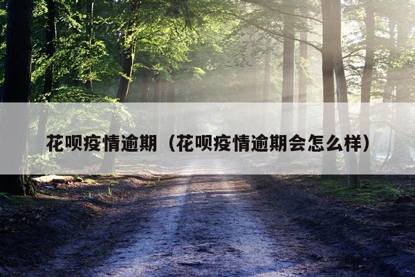 花呗疫情逾期（花呗疫情逾期会怎么样）