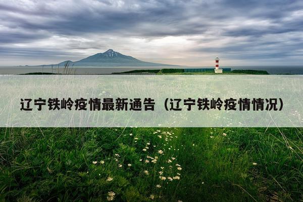 辽宁铁岭疫情最新通告（辽宁铁岭疫情情况）