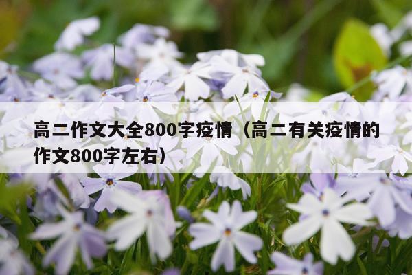 高二作文大全800字疫情（高二有关疫情的作文800字左右）