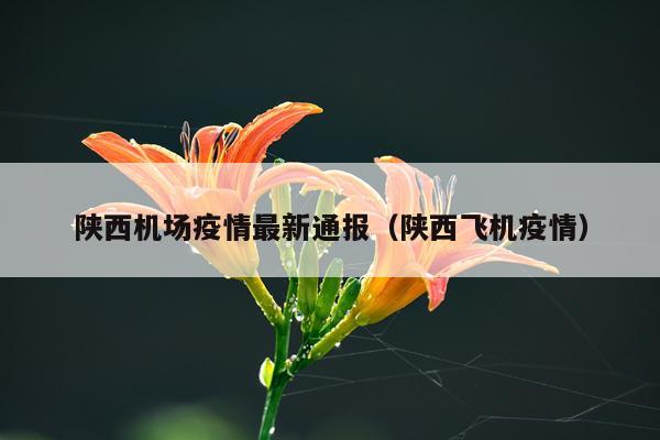 陕西机场疫情最新通报（陕西飞机疫情）