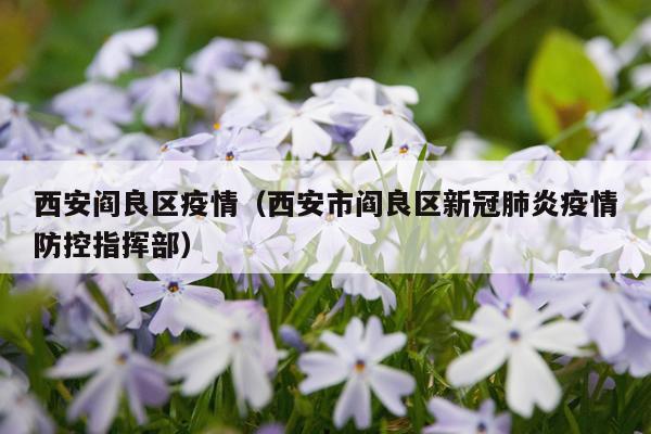 西安阎良区疫情（西安市阎良区新冠肺炎疫情防控指挥部）