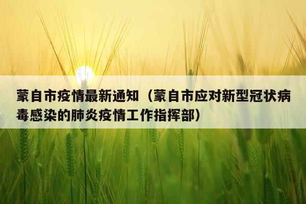 蒙自市疫情最新通知（蒙自市应对新型冠状病毒感染的肺炎疫情工作指挥部）