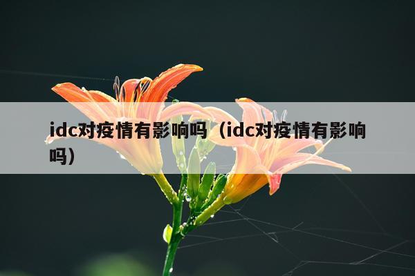 idc对疫情有影响吗（idc对疫情有影响吗）