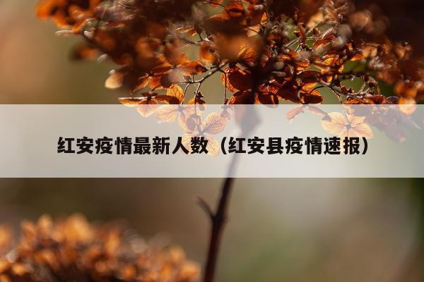 红安疫情最新人数（红安县疫情速报）