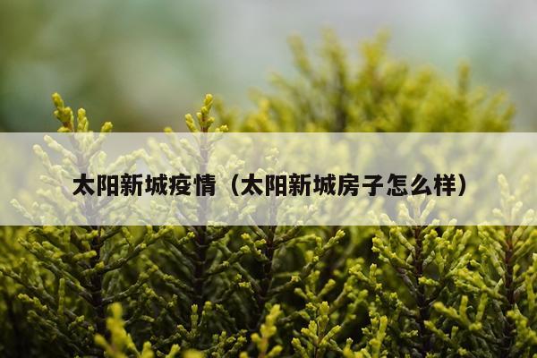 太阳新城疫情（太阳新城房子怎么样）