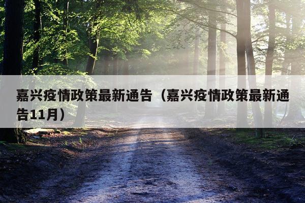 嘉兴疫情政策最新通告（嘉兴疫情政策最新通告11月）