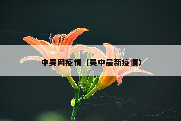 中吴网疫情（吴中最新疫情）