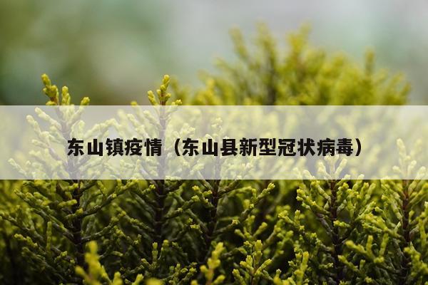 东山镇疫情（东山县新型冠状病毒）