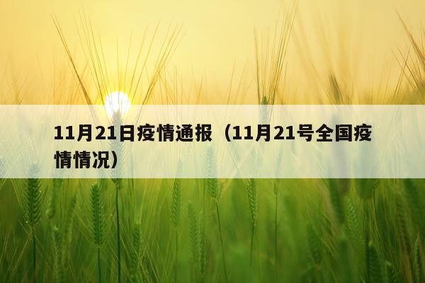 11月21日疫情通报（11月21号全国疫情情况）