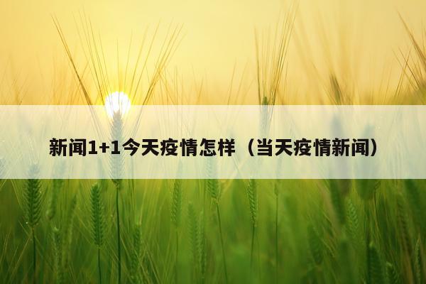 新闻1+1今天疫情怎样（当天疫情新闻）
