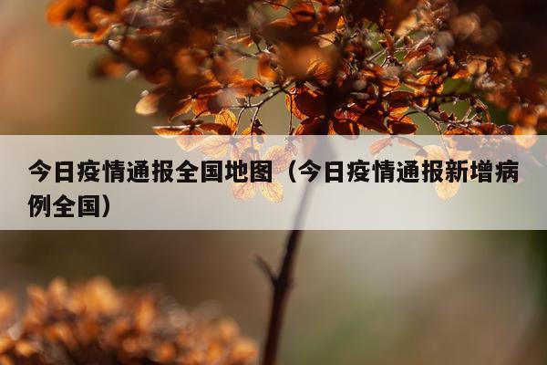 今日疫情通报全国地图（今日疫情通报新增病例全国）