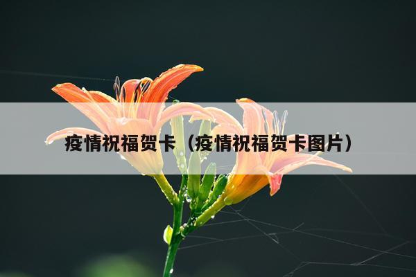 疫情祝福贺卡（疫情祝福贺卡图片）