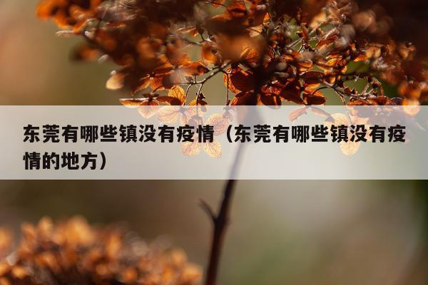 东莞有哪些镇没有疫情（东莞有哪些镇没有疫情的地方）