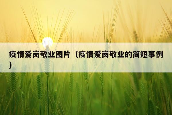 疫情爱岗敬业图片（疫情爱岗敬业的简短事例）