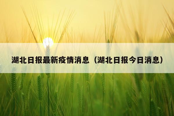 湖北日报最新疫情消息（湖北日报今日消息）