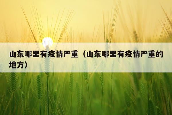 山东哪里有疫情严重（山东哪里有疫情严重的地方）