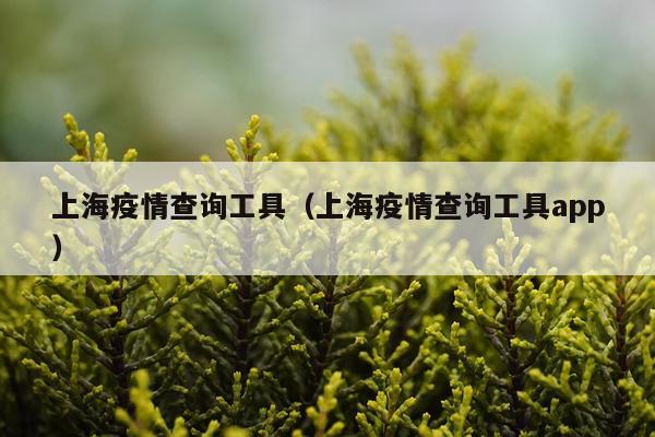 上海疫情查询工具（上海疫情查询工具app）