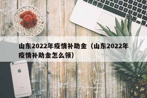 山东2022年疫情补助金（山东2022年疫情补助金怎么领）