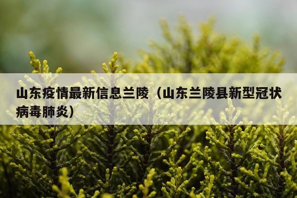 山东疫情最新信息兰陵（山东兰陵县新型冠状病毒肺炎）