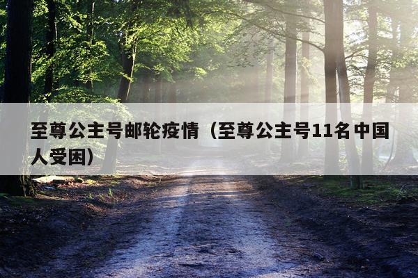 至尊公主号邮轮疫情（至尊公主号11名中国人受困）