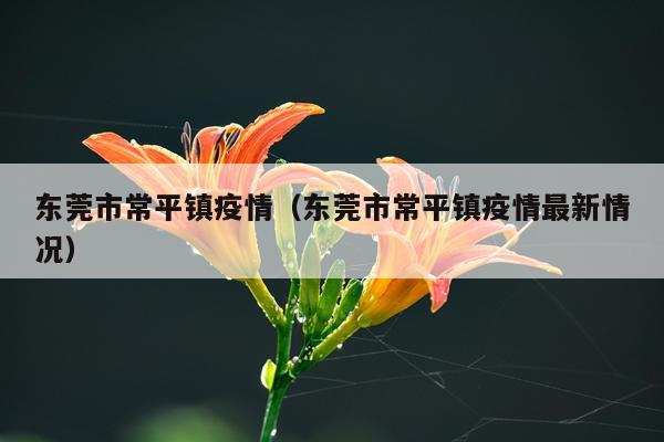 东莞市常平镇疫情（东莞市常平镇疫情最新情况）