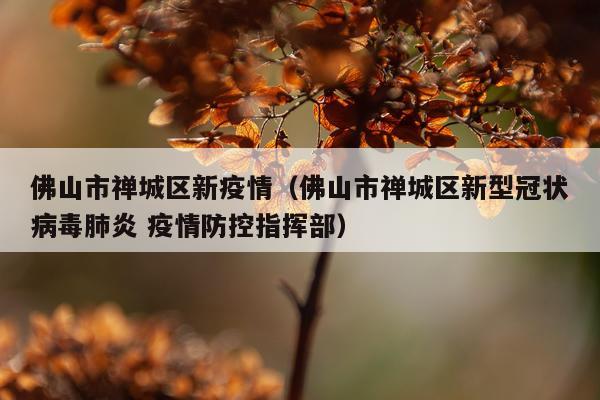 佛山市禅城区新疫情（佛山市禅城区新型冠状病毒肺炎 疫情防控指挥部）