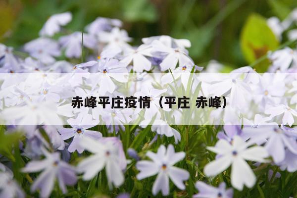 赤峰平庄疫情（平庄 赤峰）