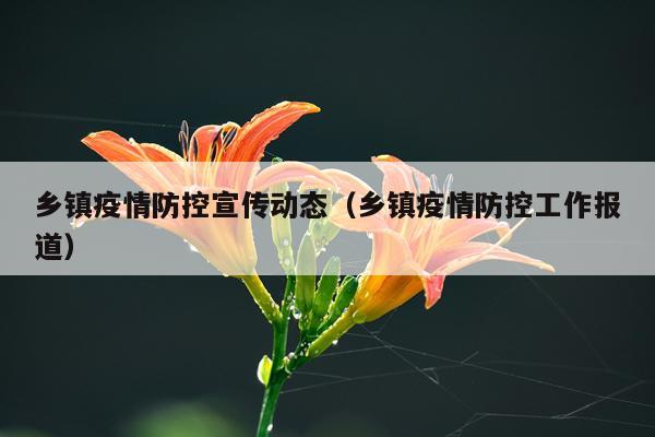 乡镇疫情防控宣传动态（乡镇疫情防控工作报道）