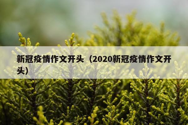 新冠疫情作文开头（2020新冠疫情作文开头）