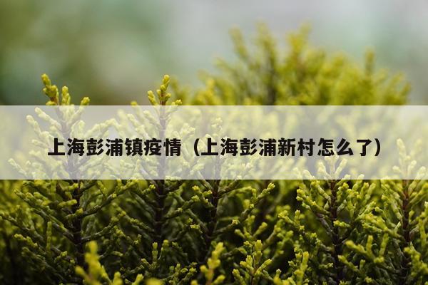 上海彭浦镇疫情（上海彭浦新村怎么了）