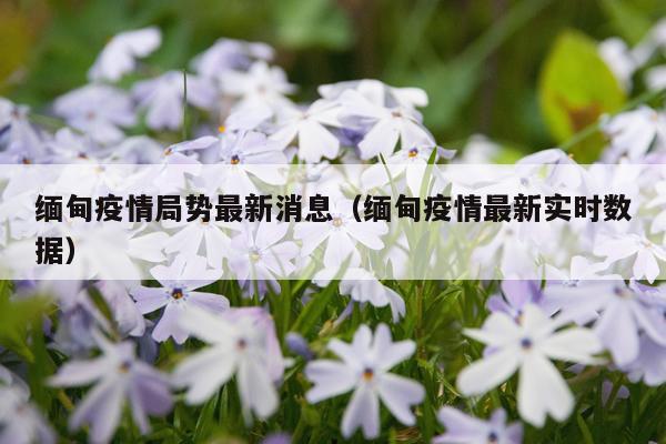 缅甸疫情局势最新消息（缅甸疫情最新实时数据）