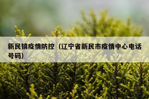 新民镇疫情防控（辽宁省新民市疫情中心电话号码）