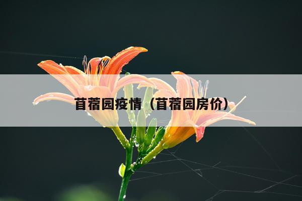 苜蓿园疫情（苜蓿园房价）