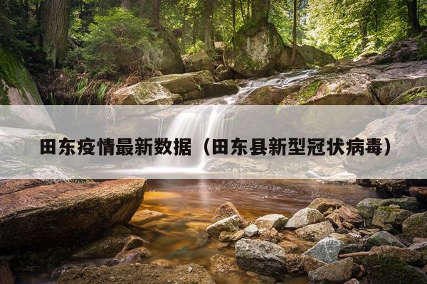 田东疫情最新数据（田东县新型冠状病毒）