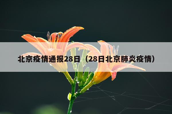北京疫情通报28日（28日北京肺炎疫情）