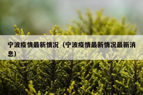 宁波疫情最新情况（宁波疫情最新情况最新消息）